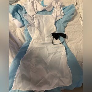 Alice in Wonderland Costume